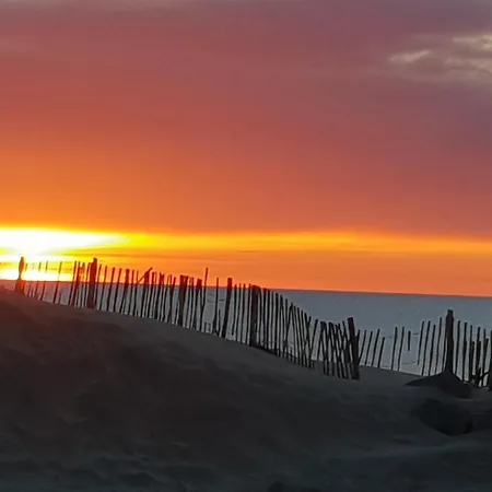 Les Pieds Dans Le Sable * Agde